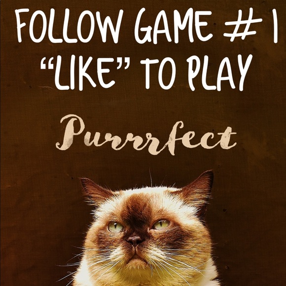 🐈🐾 Follow Game 🐈🐾 Like to play tag & share